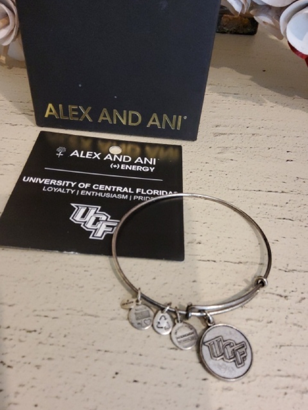 Alex and Ani Silver UCF Logo Charm Bangle